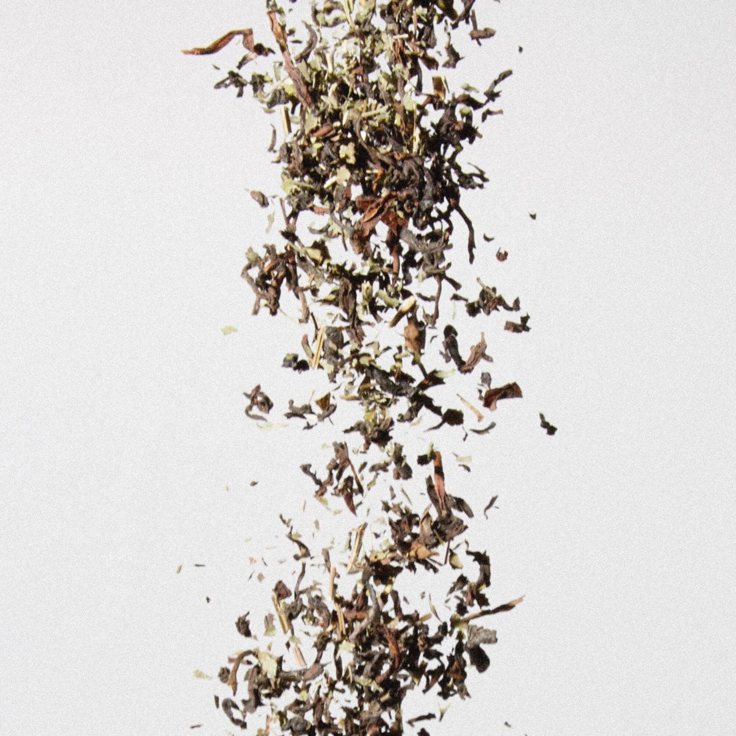 Early Lose Leaf Tea