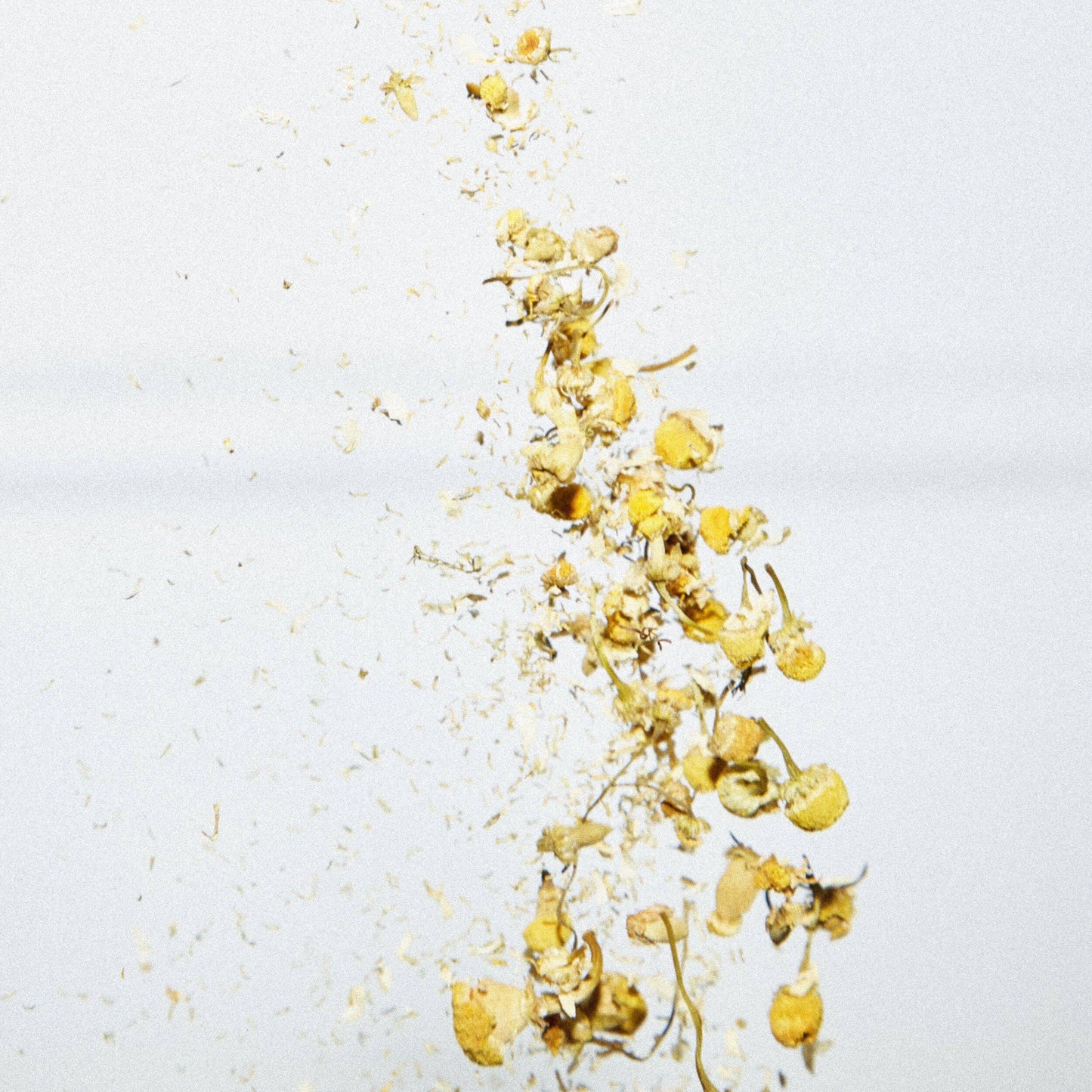 Chamomile Lose Leaf Tea