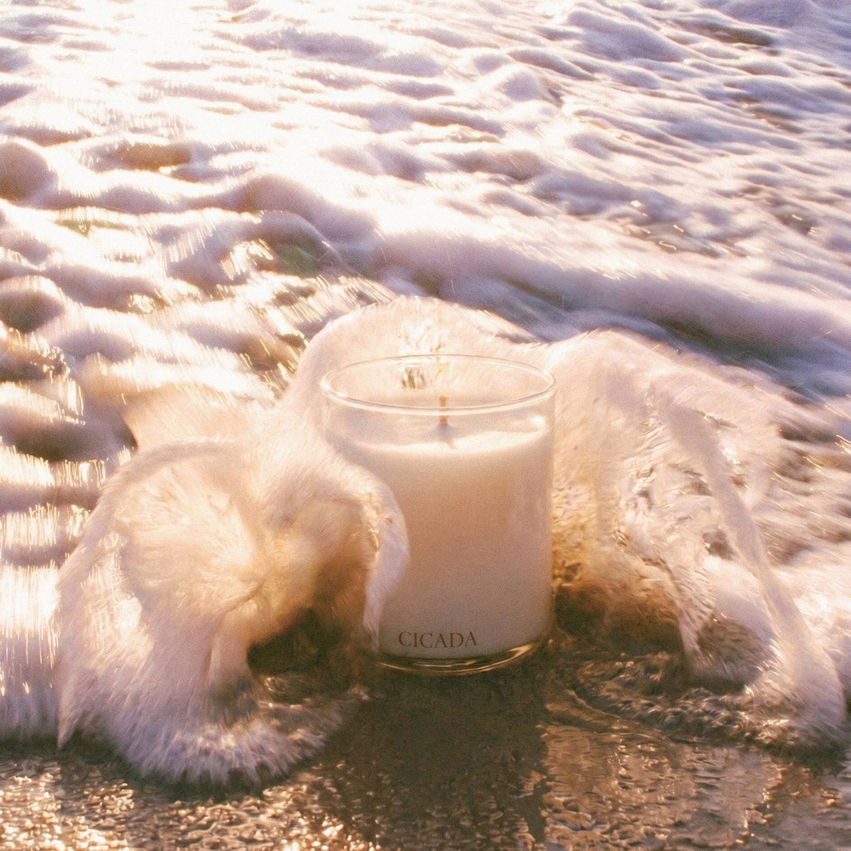 Salt Water Candle - Coconut + Soy Blend
