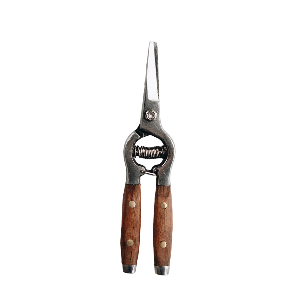 Redwood Flower Snips