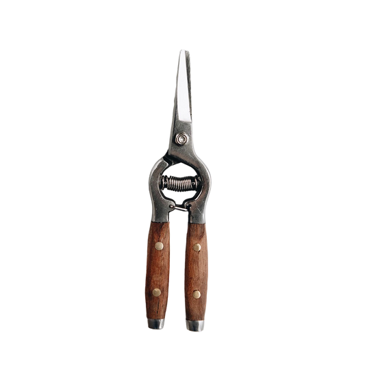 Redwood Flower Snips