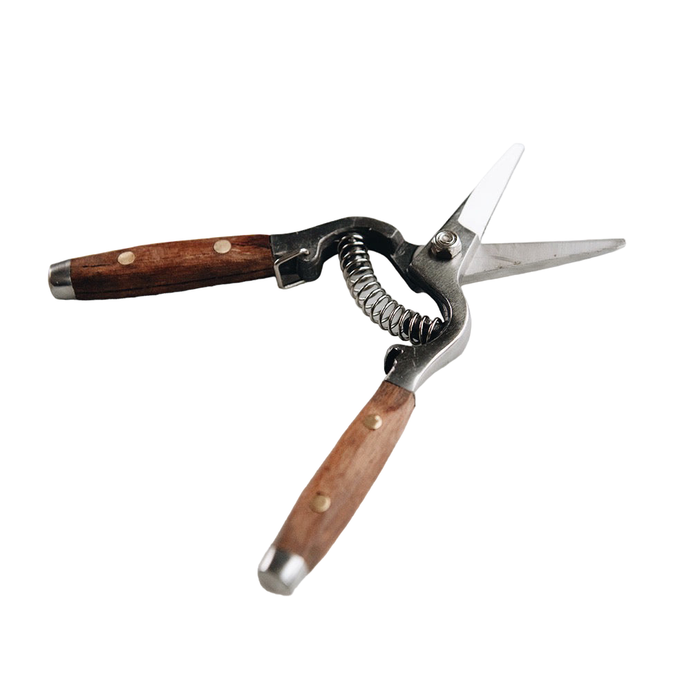 Redwood Flower Snips