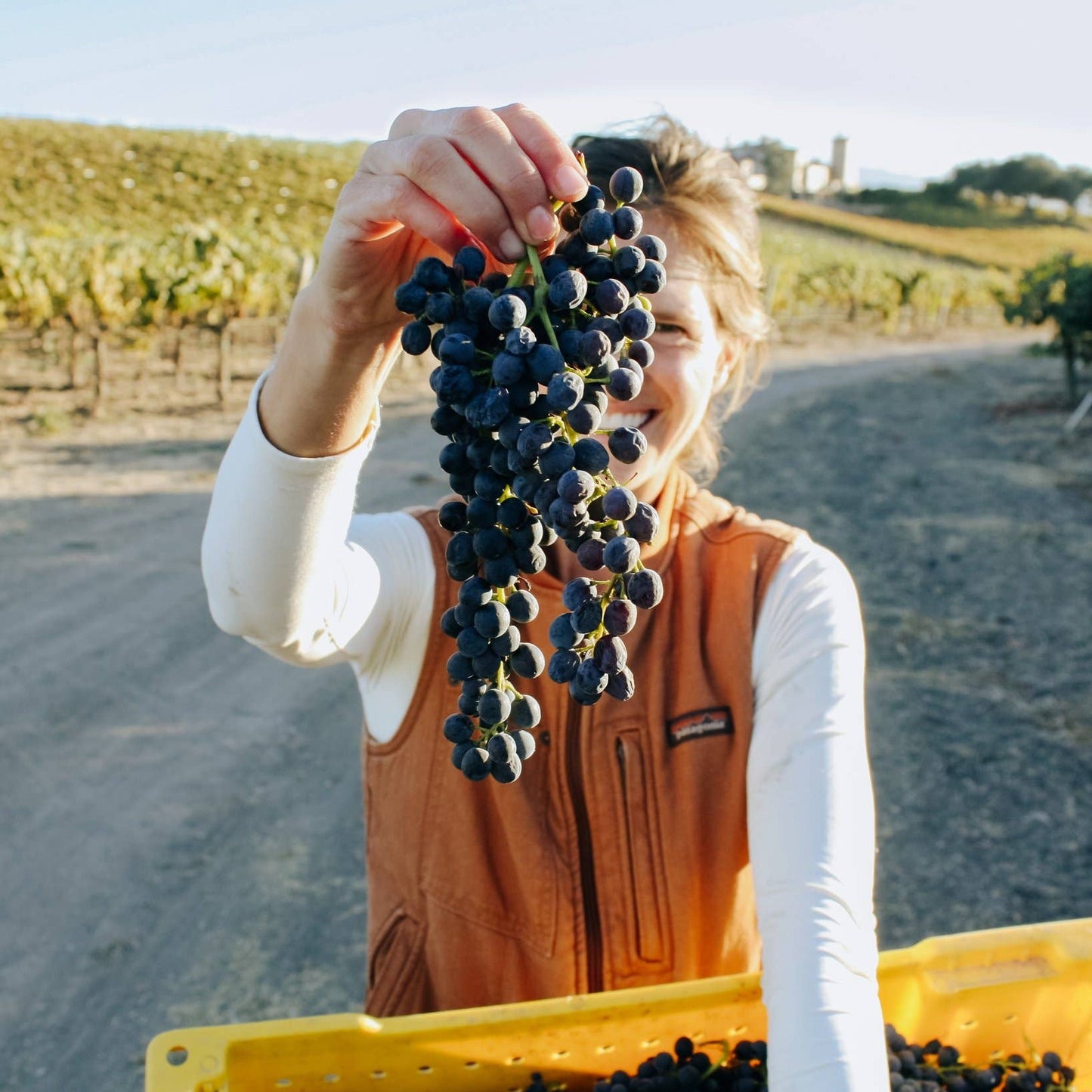 Syrah Grape Infused Vinegar