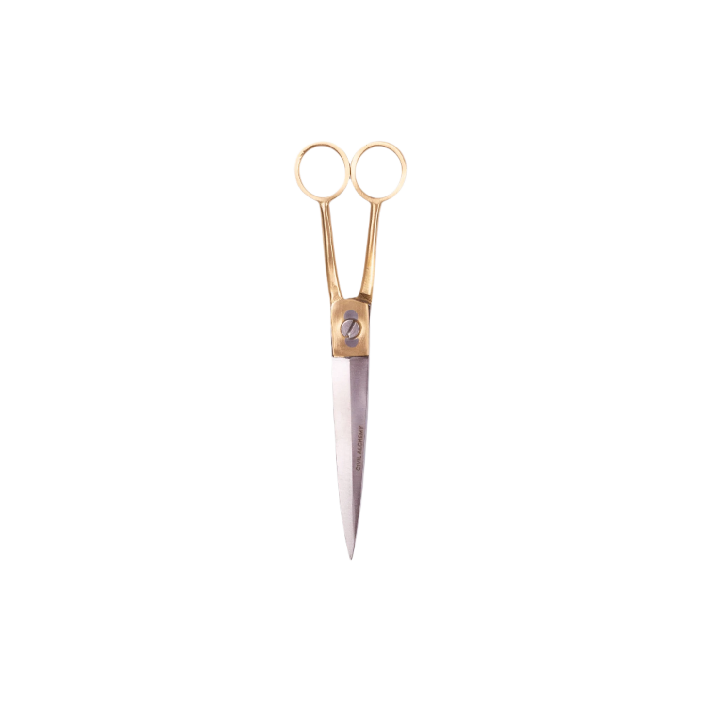 Brass and Stainless Scissors