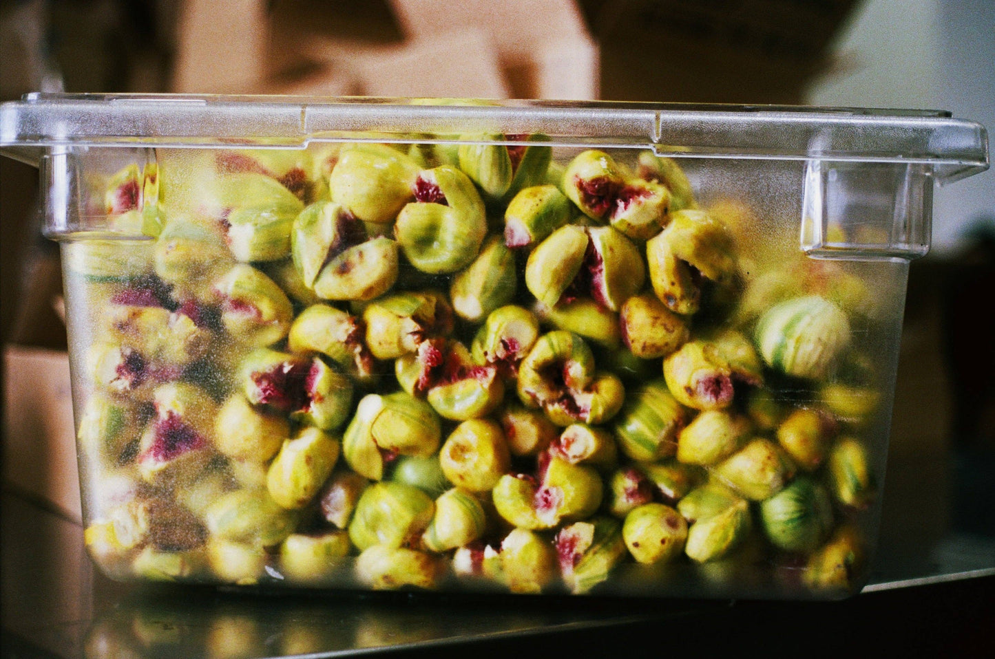 Dreamin' Man Candy Stripe Fig & Elderflower Fruit Spread 