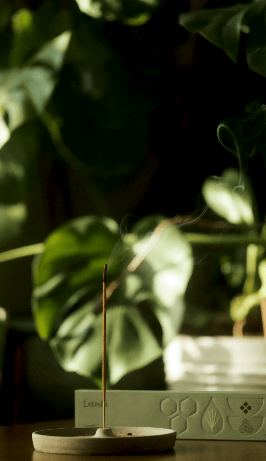 Natural Incense Sticks - Vetiver, Musk, Redwood