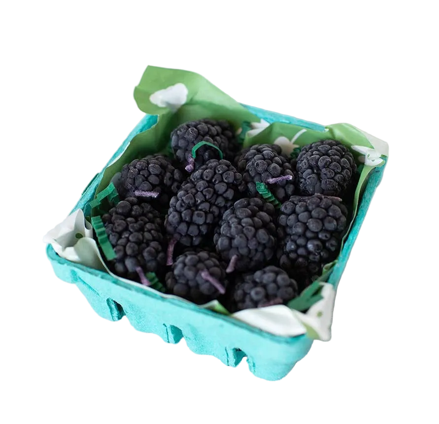 Blackberry Beeswax Birthday Candles: 10