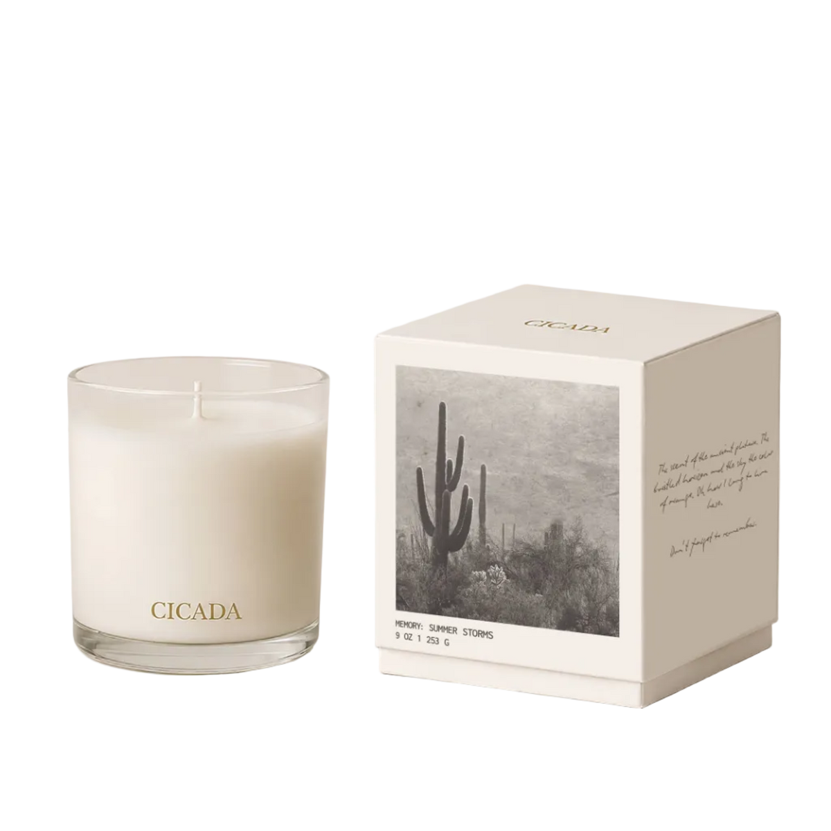 Summer Storms Candle - Coconut + Soy Blend