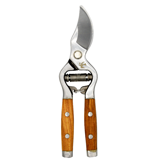 Secateurs