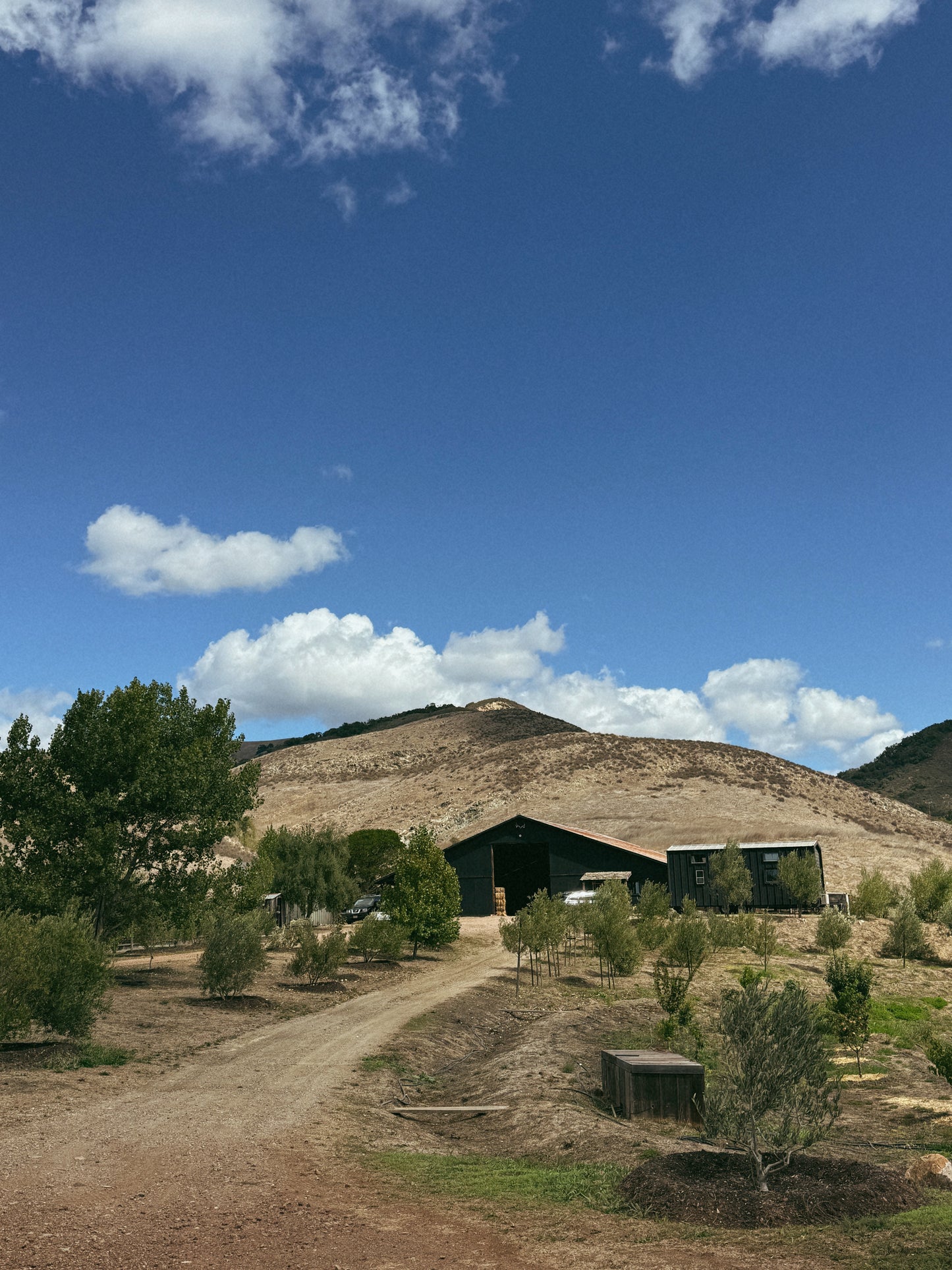 Neighbors Dinner Party - Spring 2026 Date TBD