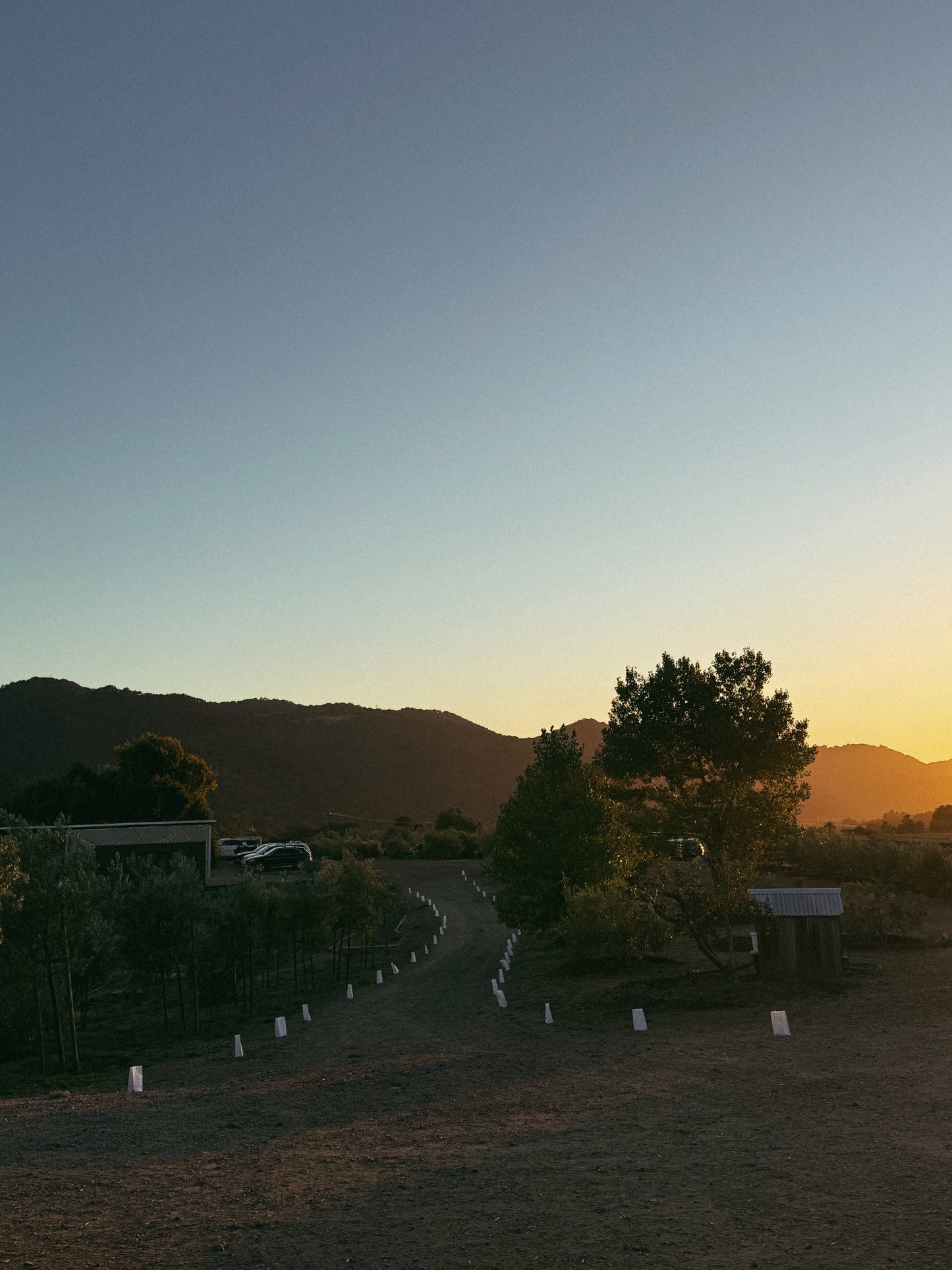 Neighbors Dinner Party - Spring 2026 Date TBD