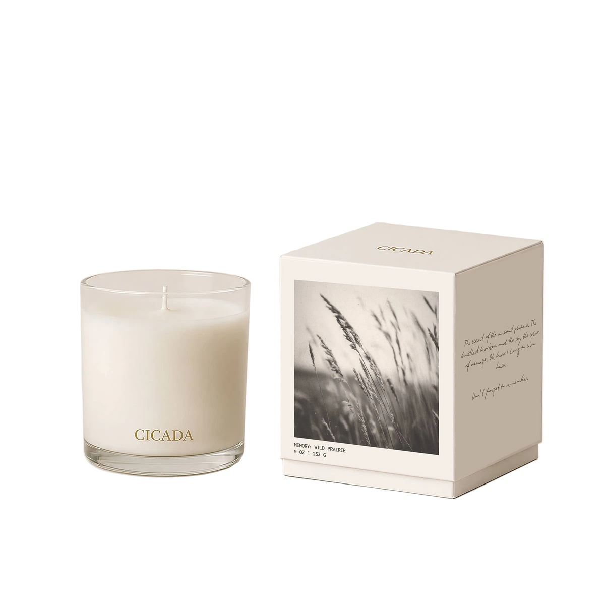 Wild Prairie Candle - Coconut + Soy Blend