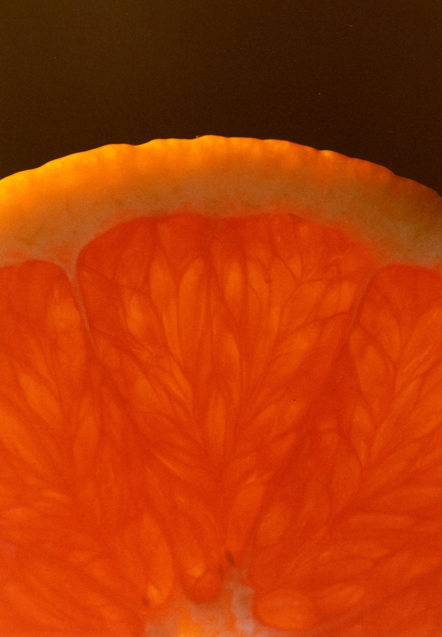 Cara Cara & Hibiscus Marmalade: 10oz Marmalade Jar