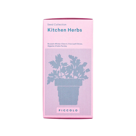 Kitchen Herbs Seed Collection