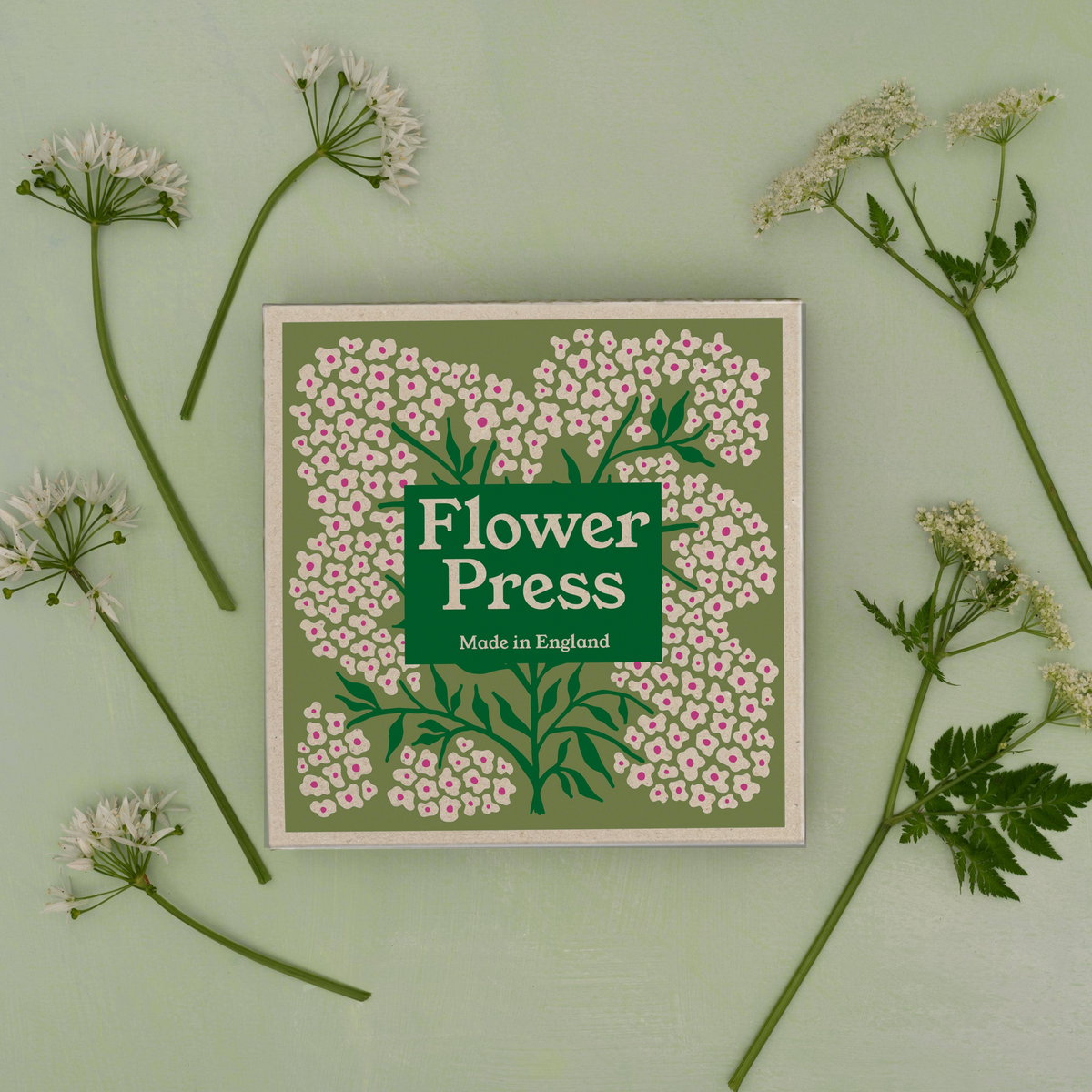 Flower Press - Forget Me Not