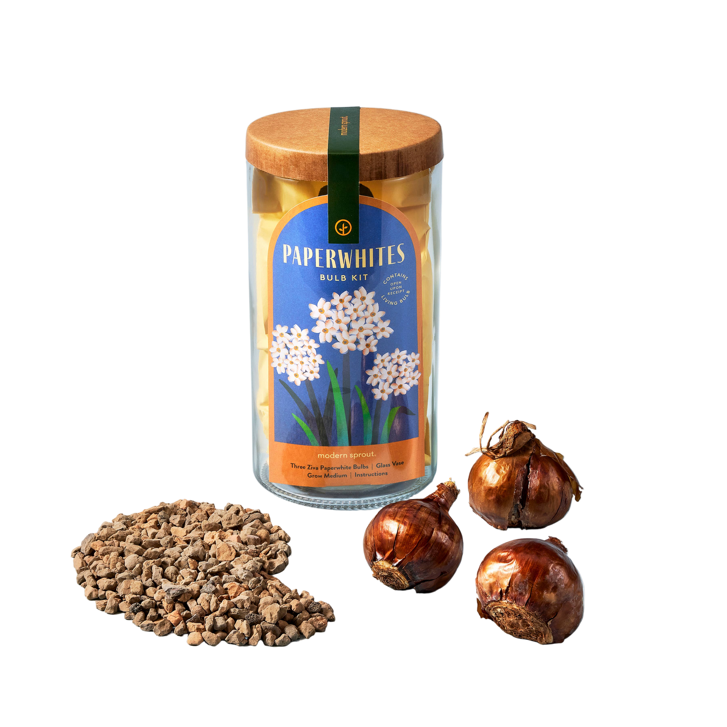 Winter Bulb Kit - Paperwhites