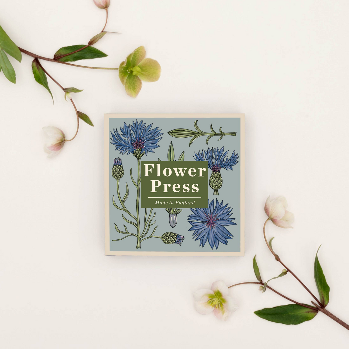 Flower Press - Cornflower